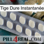 Tige Dure Instantanée 08